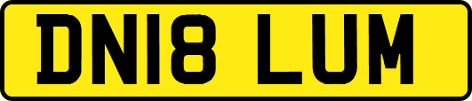 DN18LUM