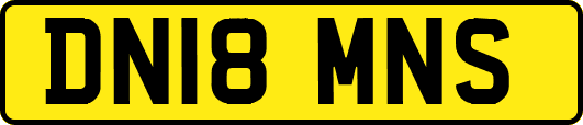 DN18MNS