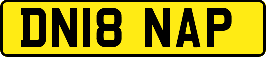DN18NAP