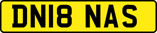DN18NAS