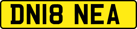 DN18NEA