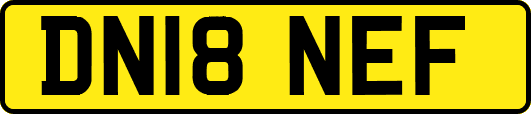 DN18NEF