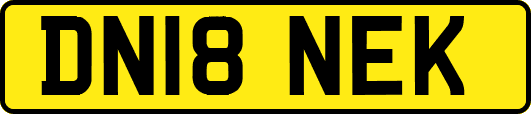 DN18NEK