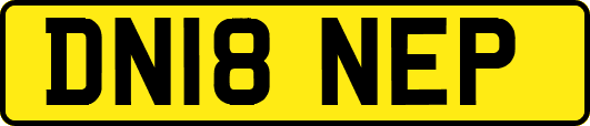 DN18NEP