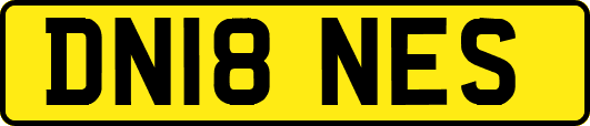 DN18NES