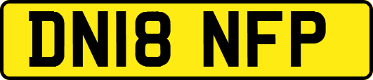 DN18NFP