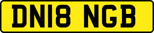 DN18NGB
