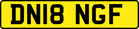 DN18NGF