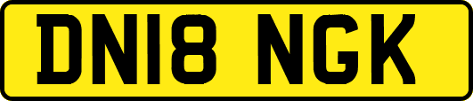 DN18NGK