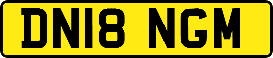 DN18NGM
