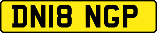 DN18NGP