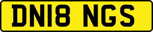 DN18NGS