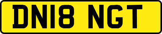 DN18NGT