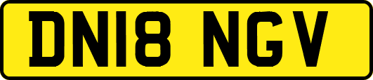 DN18NGV