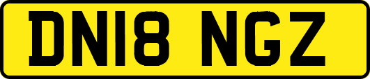 DN18NGZ