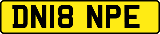 DN18NPE