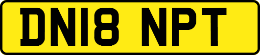 DN18NPT