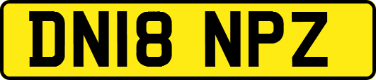 DN18NPZ