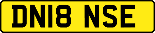 DN18NSE