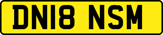 DN18NSM