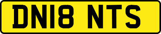DN18NTS