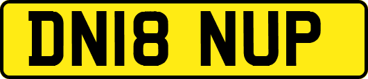 DN18NUP