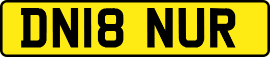 DN18NUR
