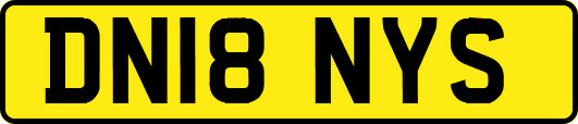DN18NYS