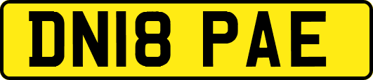 DN18PAE