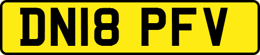 DN18PFV
