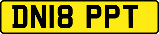 DN18PPT