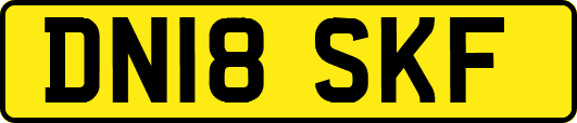 DN18SKF