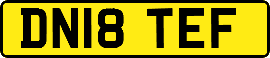 DN18TEF