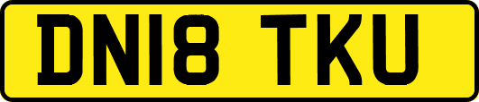 DN18TKU