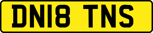 DN18TNS
