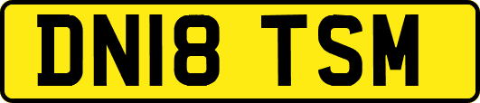 DN18TSM