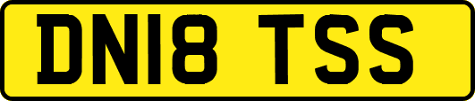 DN18TSS