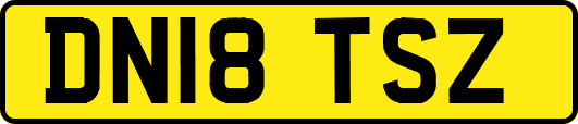 DN18TSZ