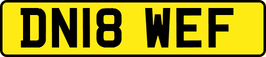 DN18WEF