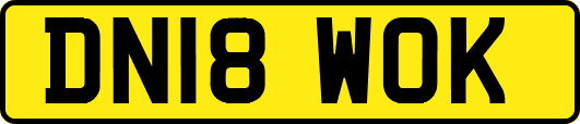 DN18WOK