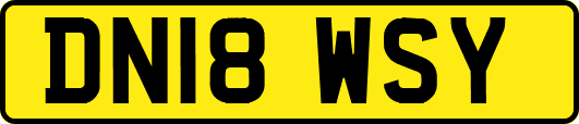 DN18WSY