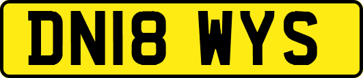 DN18WYS