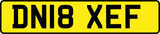 DN18XEF