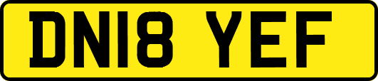DN18YEF