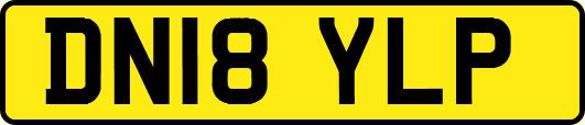DN18YLP