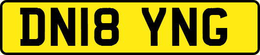 DN18YNG