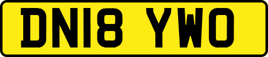 DN18YWO