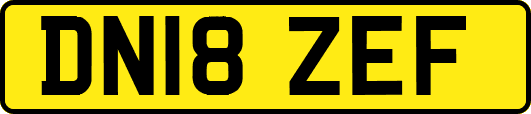 DN18ZEF