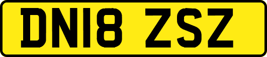 DN18ZSZ