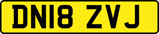DN18ZVJ